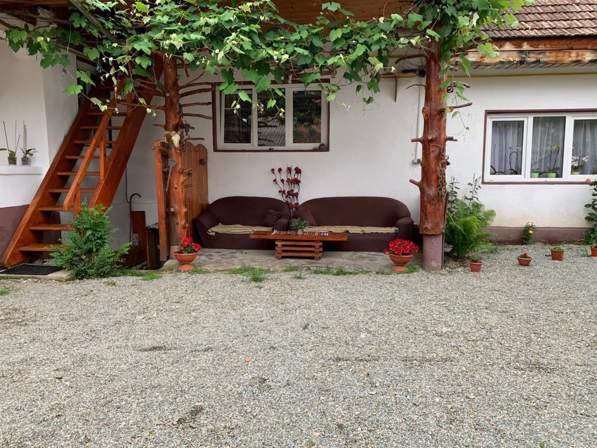 Casa Mari Hotel Cîrţişoara Buitenkant foto
