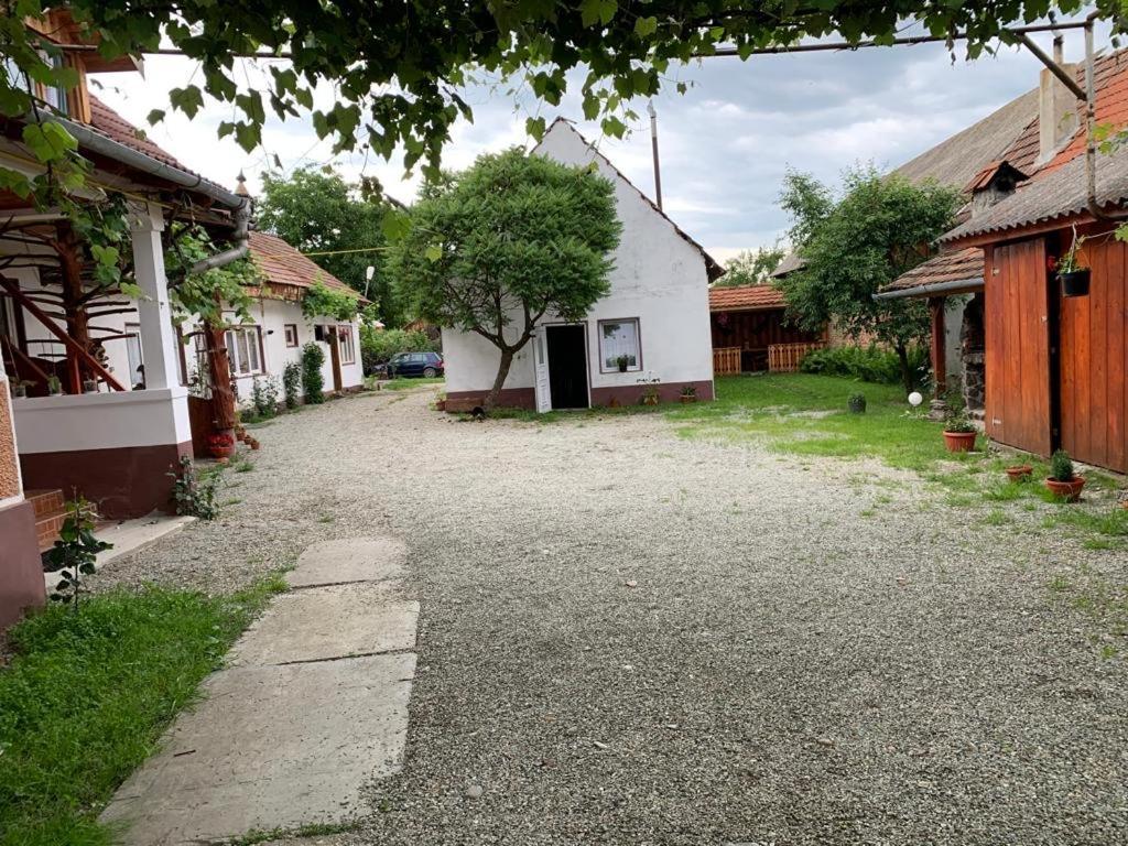Casa Mari Hotel Cîrţişoara Buitenkant foto